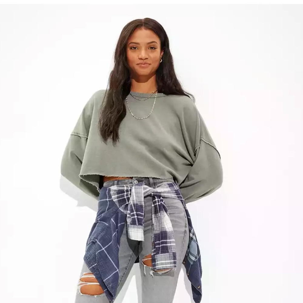 AE Fleece Crew Neck Cropped Sweatshirt